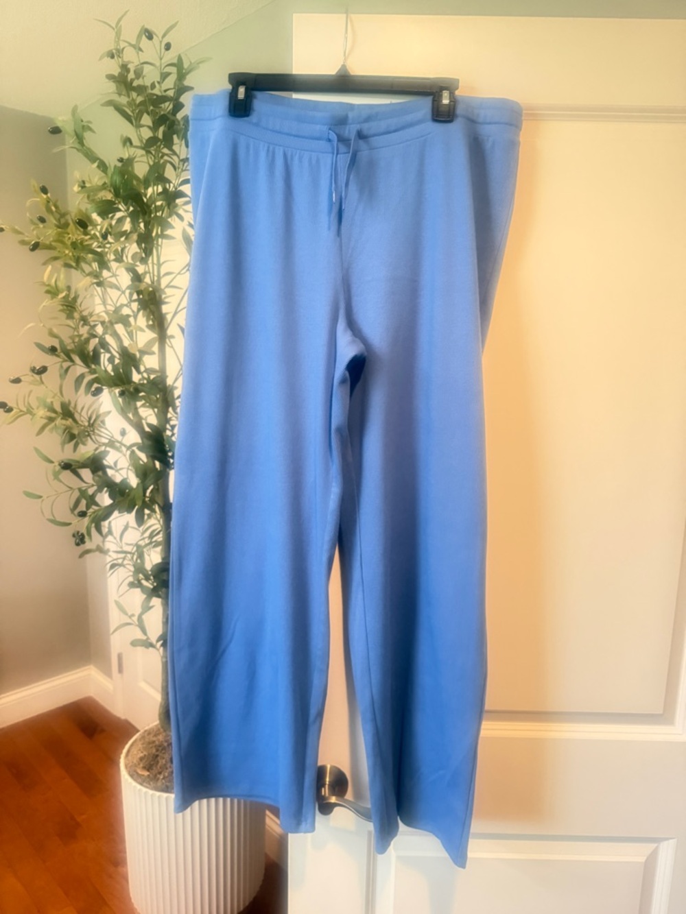Aritzia Homestretch pants